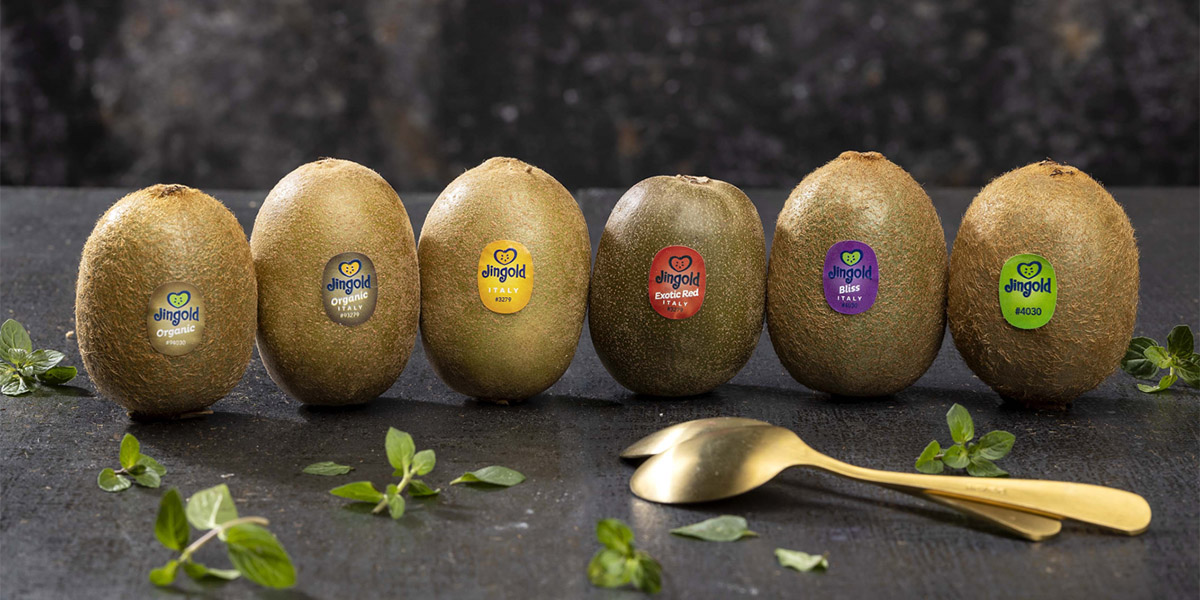 Jingold chiude la stagione al top: il fatturato sfiora 85 milioni di euro